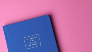 my secret plan to rule the world book