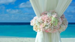 pink white petal flower on white curtain near white sand beach on daytime