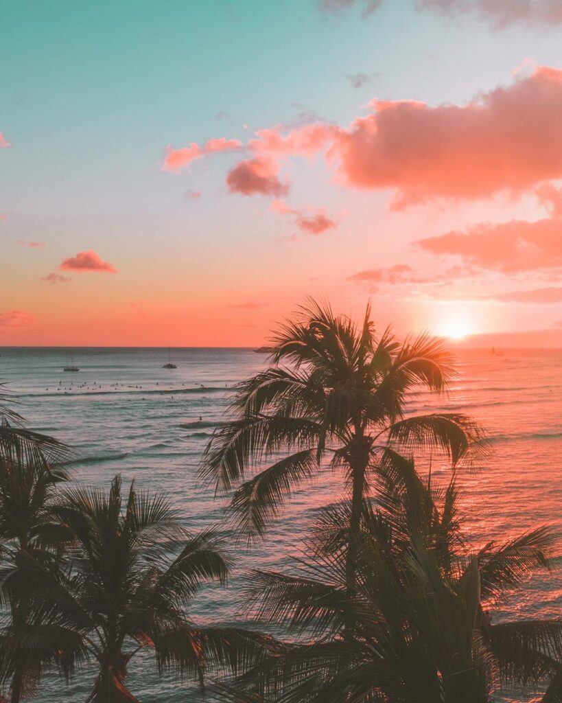 palm tree near body of water during sunset