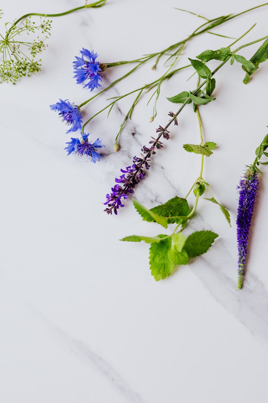 edible flowers and mint leaves on white surface