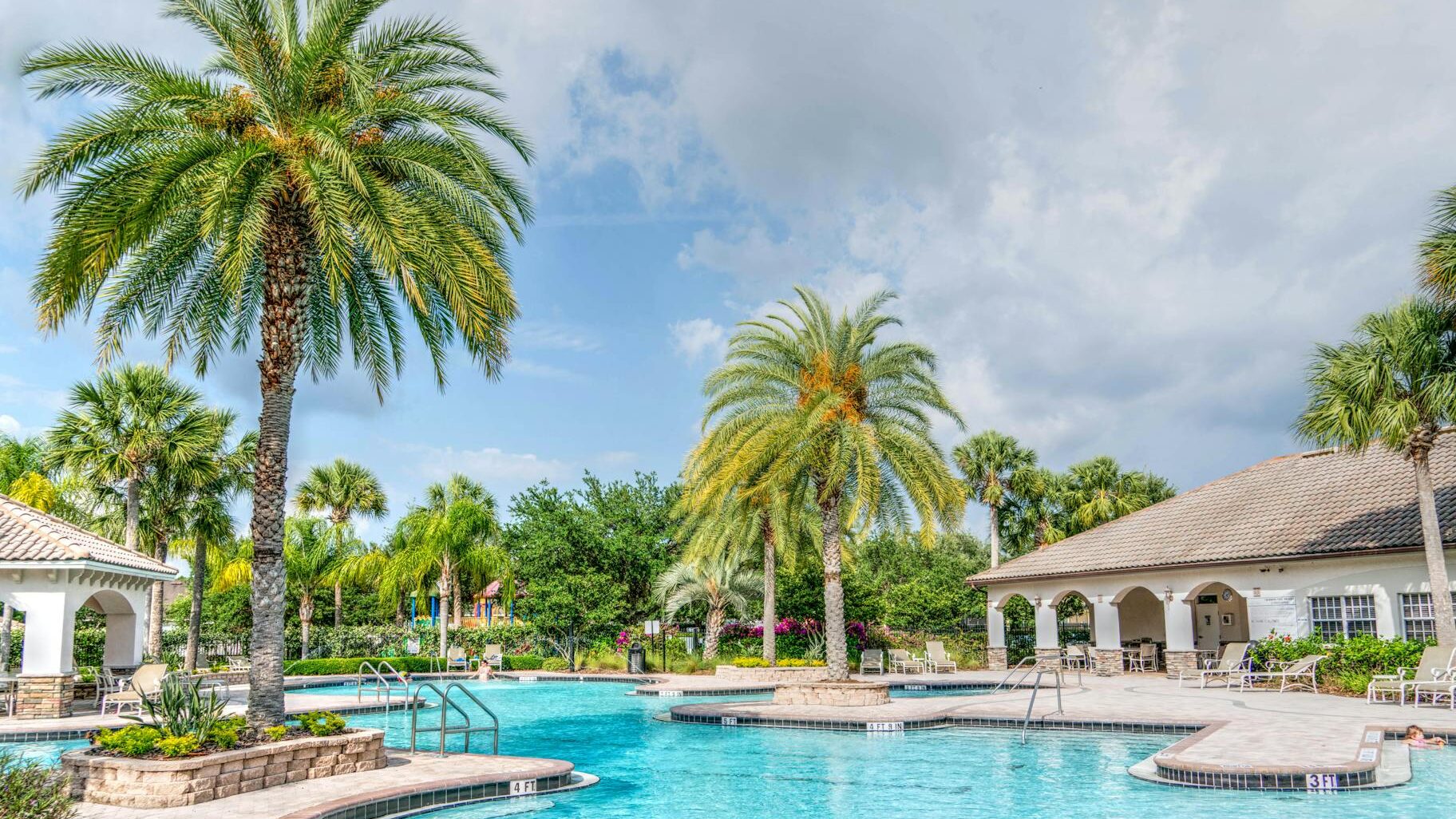 swimming pool near palm tree
