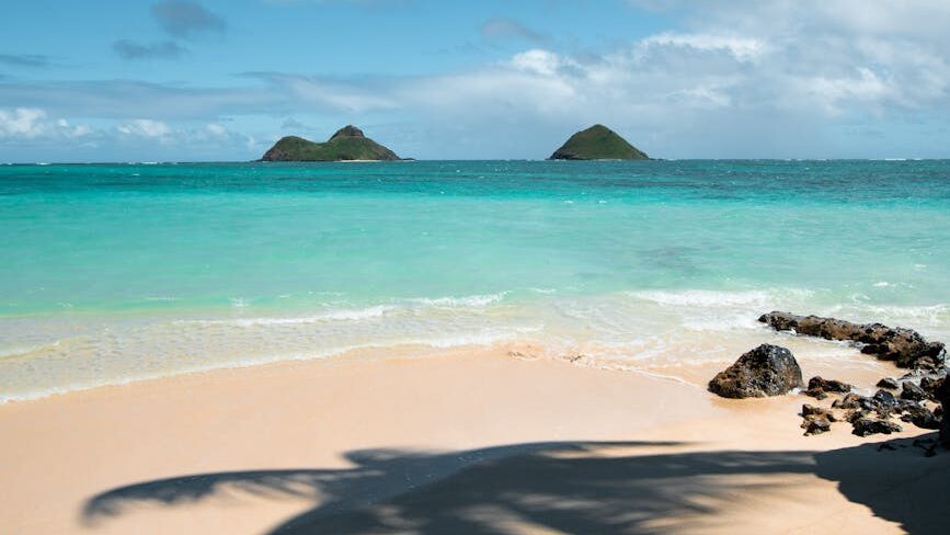 coconut tree shadow on seashore